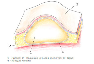 Иллюстрация 2 Иллюстрация 2