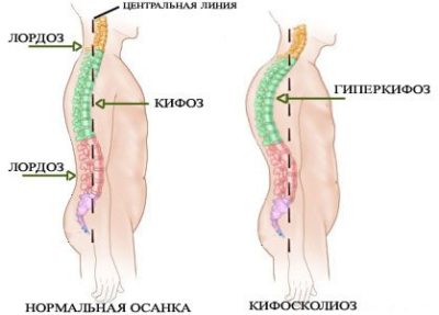 Иллюстрация 4 Иллюстрация 4