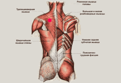 Картинка 1 Картинка 1