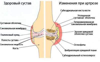Иллюстрация 3 Иллюстрация 3